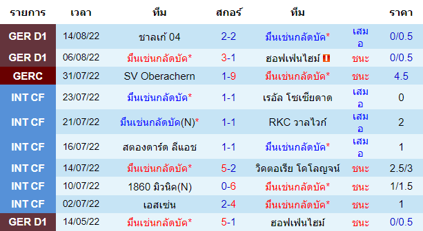 บทวิเคราะห์